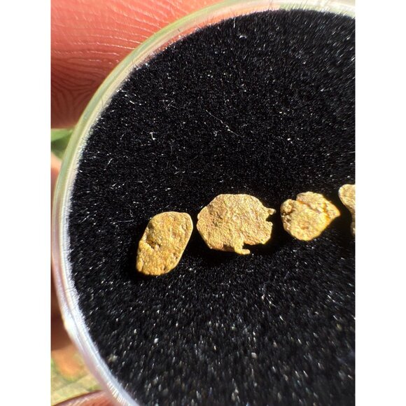 California Gold Nuggets in Display Case - 0.17 grams - Picture 5 of 6